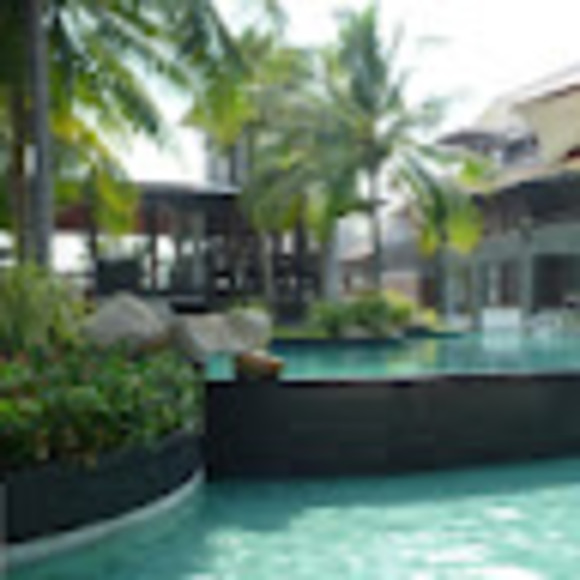 Meet your Posher, Chloe - Picture 1 of 1